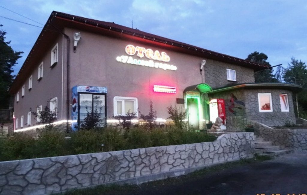 Гостиница У Лысой горы Луга-57