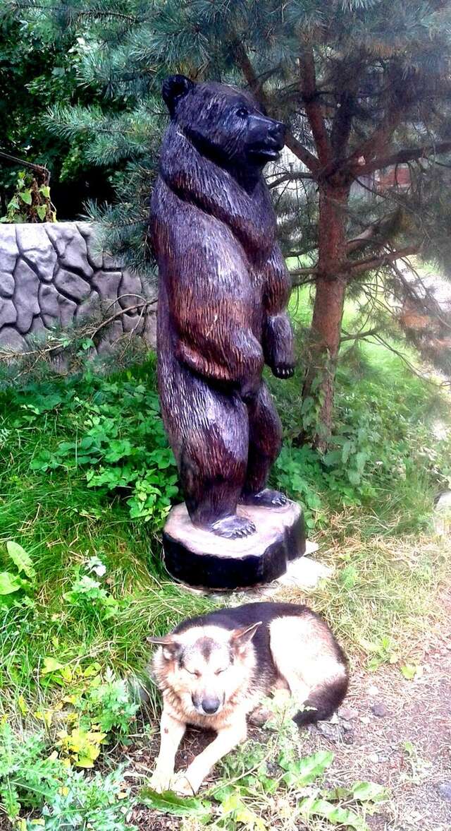 Гостиница У Лысой горы Луга-40