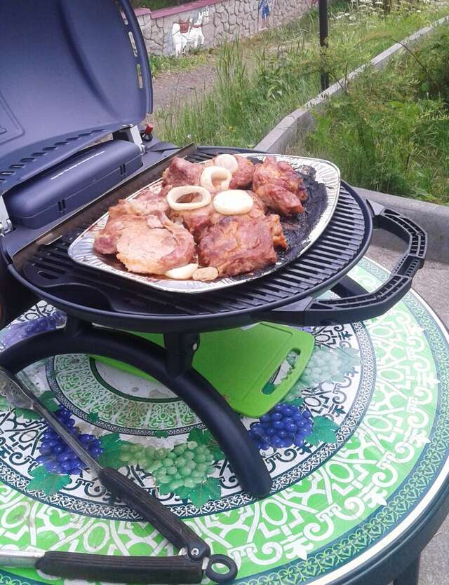 Гостиница У Лысой горы Луга-20