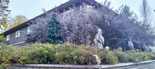 Гостиница У Лысой горы Луга-130