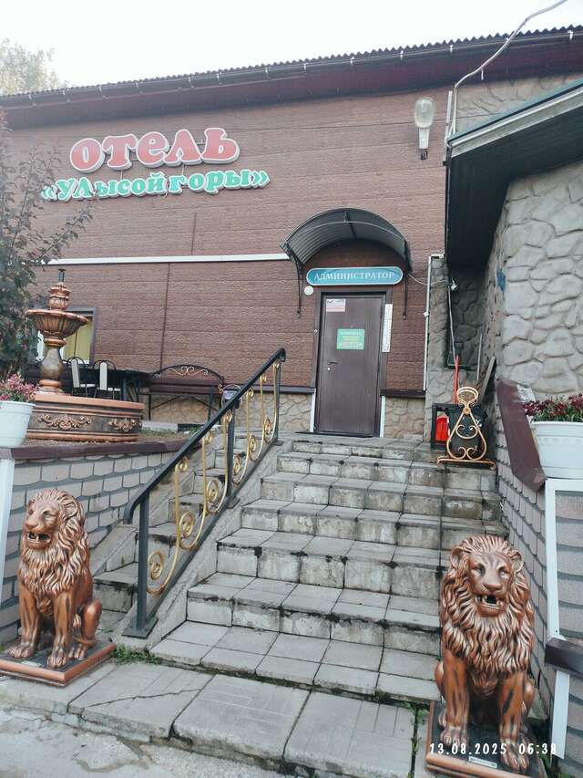Гостиница У Лысой горы Луга-113