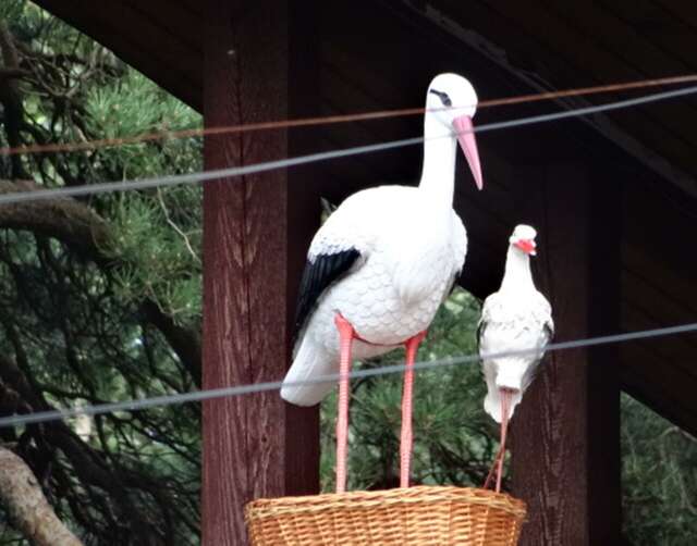 Гостиница У Лысой горы Луга-7